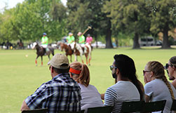 being-a-polo-pro