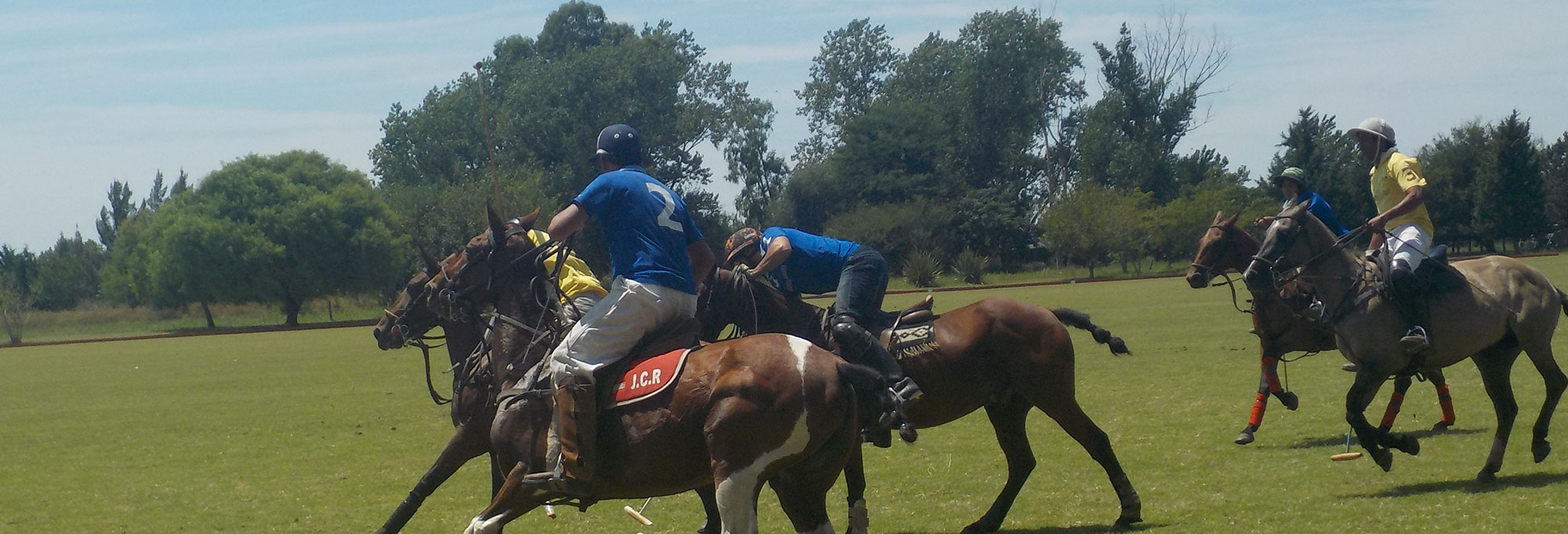 Copa Fin de Año 2009 Torneos